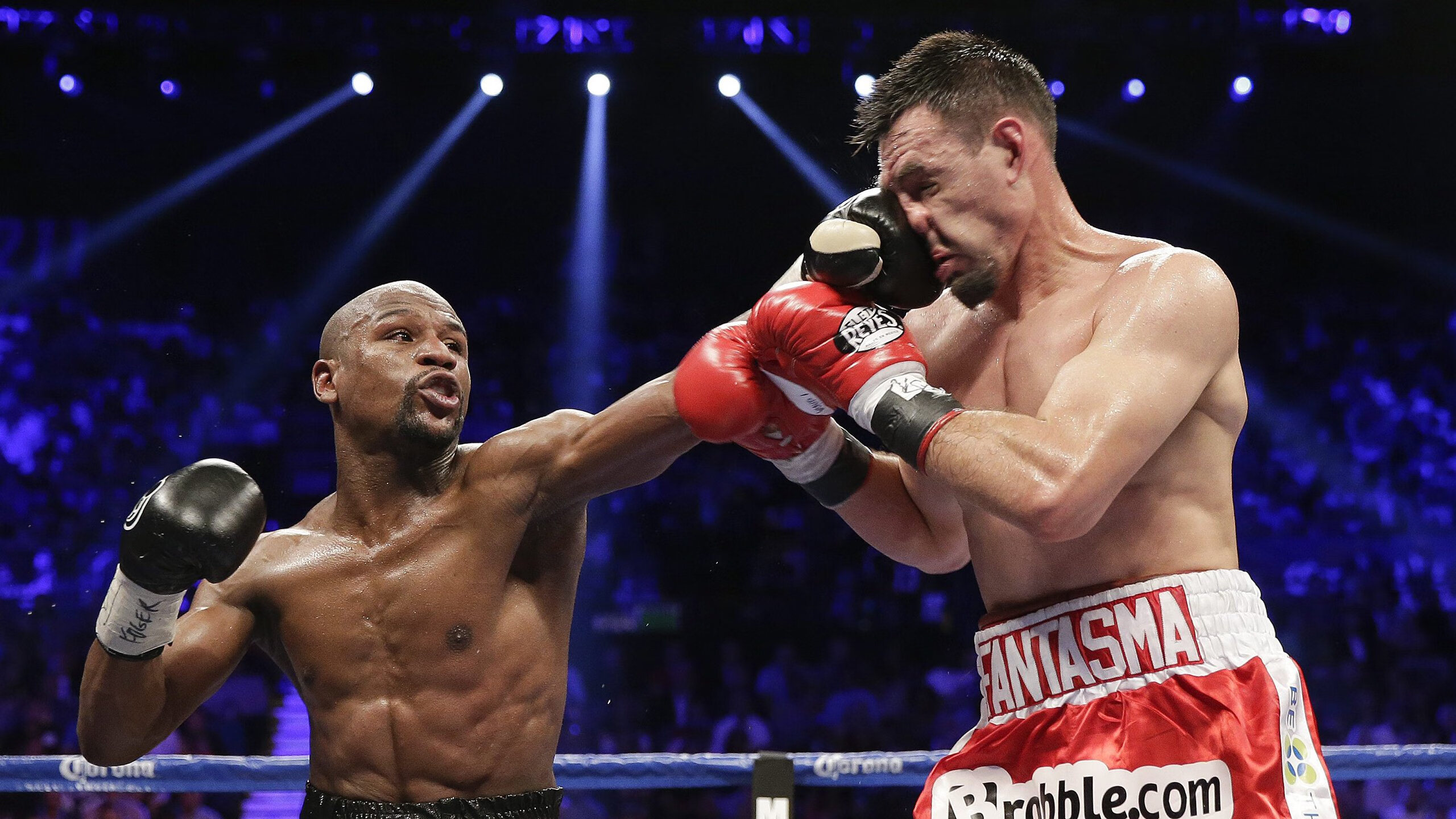 职业篮球赛事观众互动提升,篮球观众席技术犯规怎么办